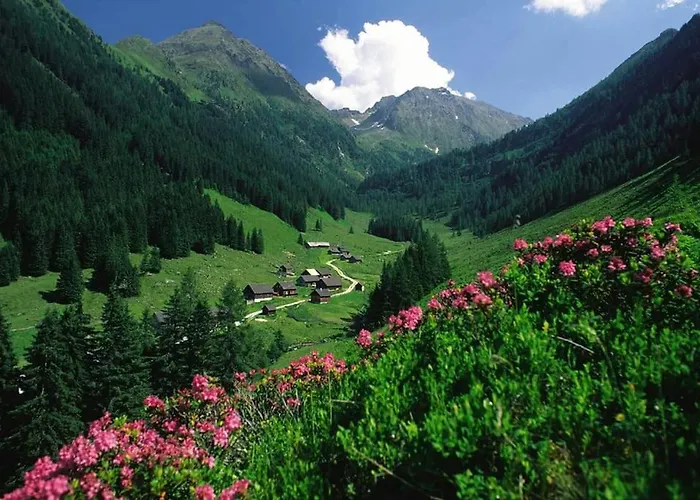 Апартаменти Sunrise *